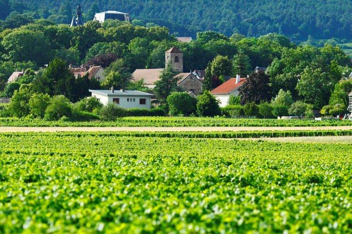 Visite privée de 2 jours en Bourgogne au départ de Paris