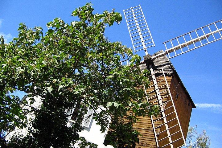 Balade privée à Montmartre