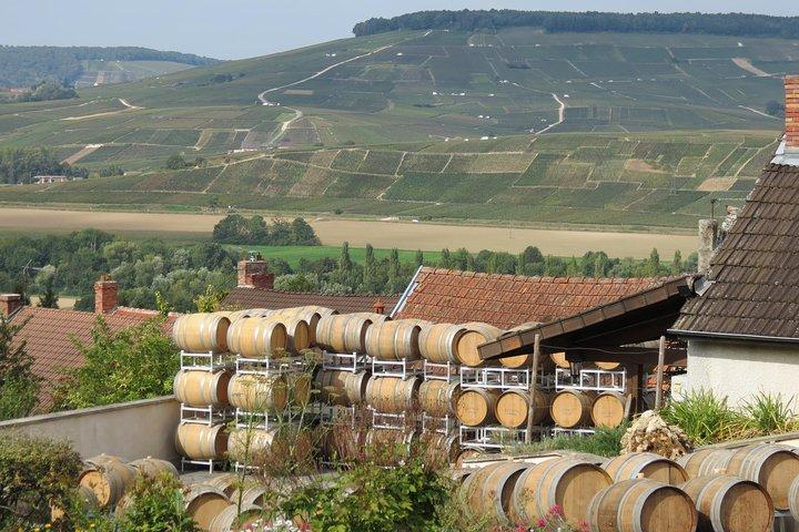 Visite privée des vins de Champagne au départ de Paris