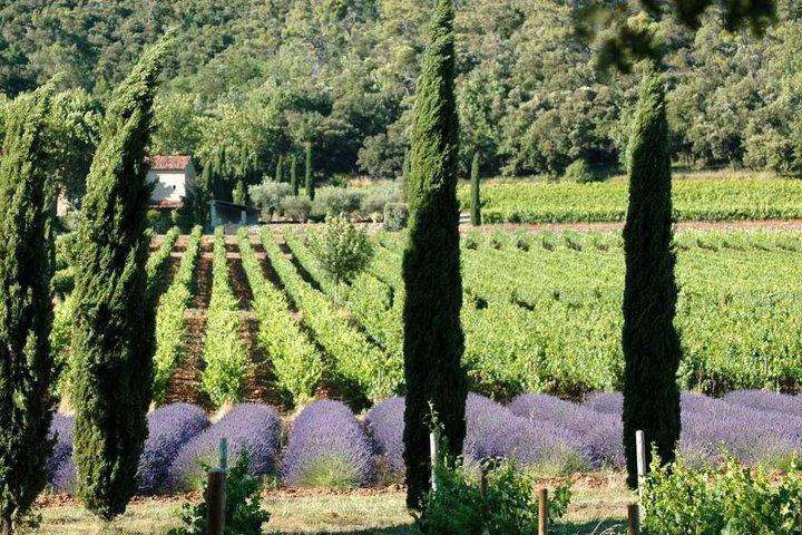 Visite œnologique d'une demi-journée à Côteaux Aix au départ d'Aix en Provence