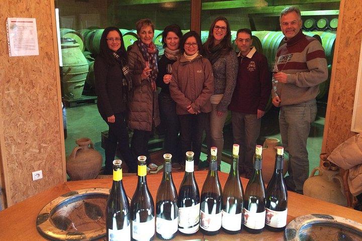 Visite des vins de Syrah (9 h 00 - 13 h 30) - Visites en petits groupes au départ de Lyon