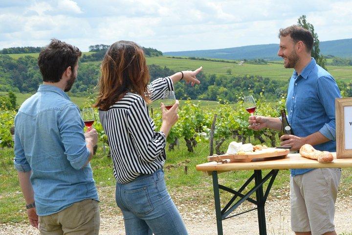 Visite des vignobles et caves de Chablis & Bourgogne au départ de Paris + Sommelier