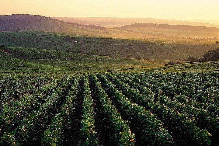 Excursion privée d'une journée complète dans la région de la Champagne