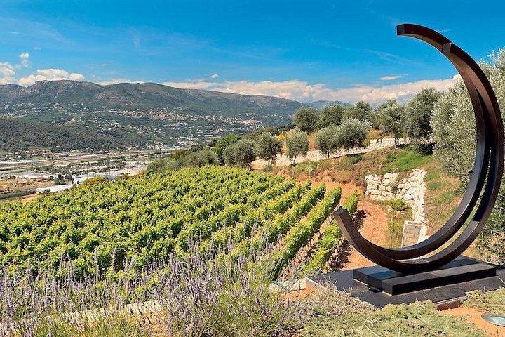 Visite d'une demi-journée en petit groupe avec dégustations au départ de Nice