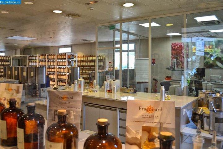 Les secrets de la vinification et de la parfumerie sur la Côte d'Azur Cannes Excursion
