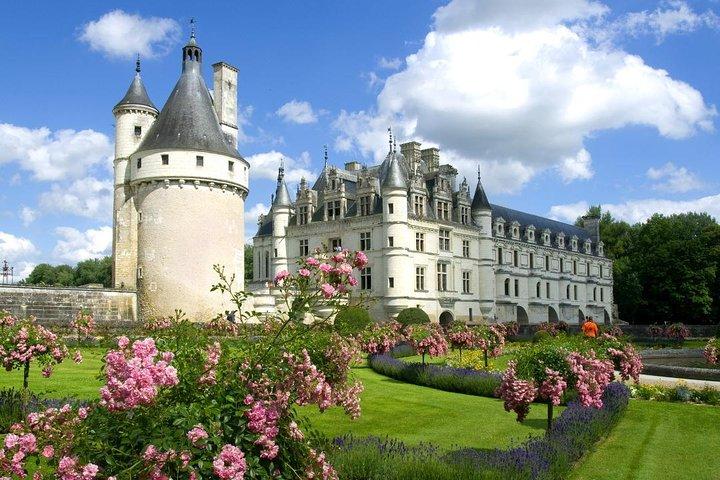 Excursion privée d'une journée aux châteaux de la vallée de la Loire au départ de Paris
