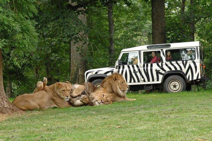 Retour privé Transfert Thoiry Zoo Safari depuis Paris