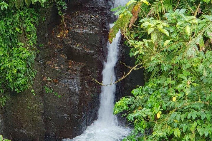 Visite de l'île du Nord et Martinique Best Secret