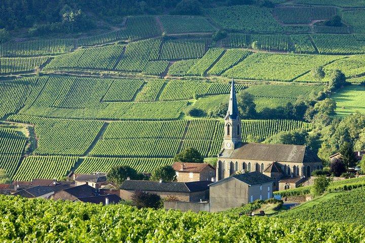 BOURGOGNE: Visite unique des vins au départ de PARIS (Excursion d'une journée en TGV - Train à grande vitesse)