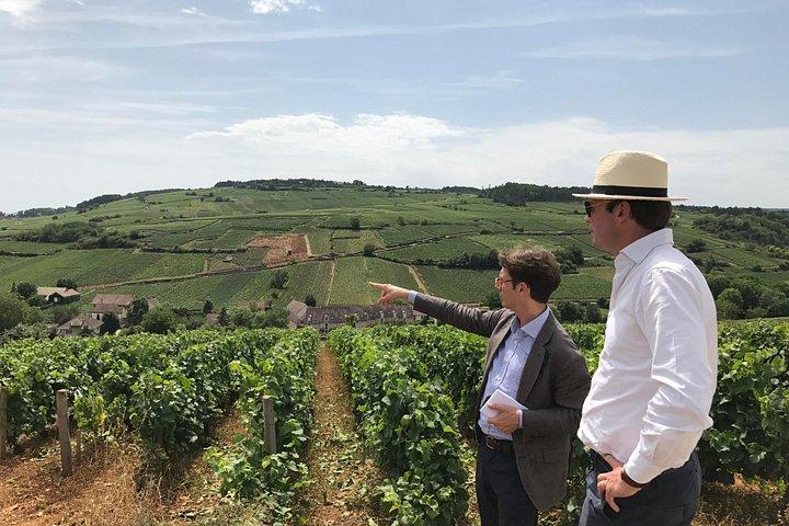Visite privée d'une journée en Bourgogne : Historic & Wine Journey
