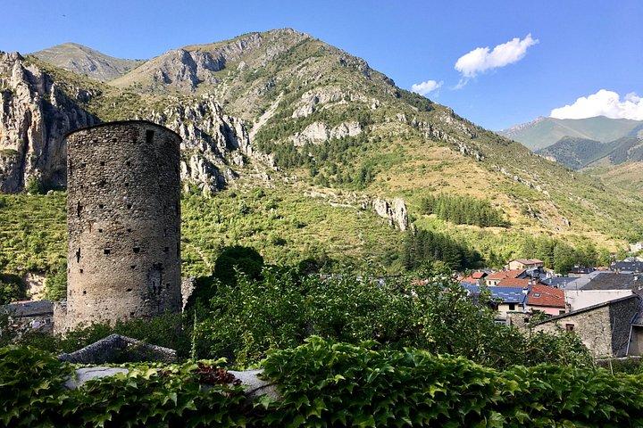Merveilles naturelles et artistiques des Alpes - Visite privée culturelle