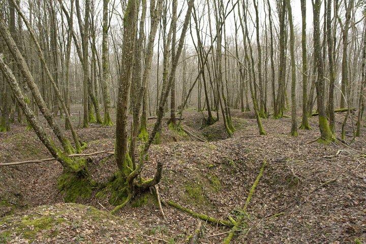 Promenade dans les tranchées et les bunkers de la Première Guerre mondiale
