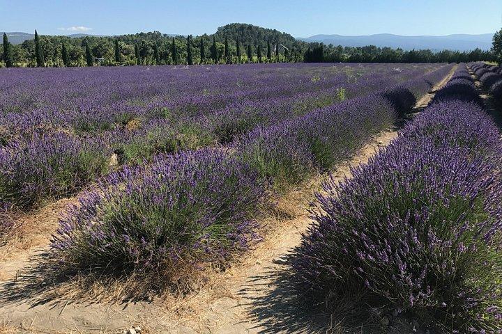 Les villages perchés du Luberon