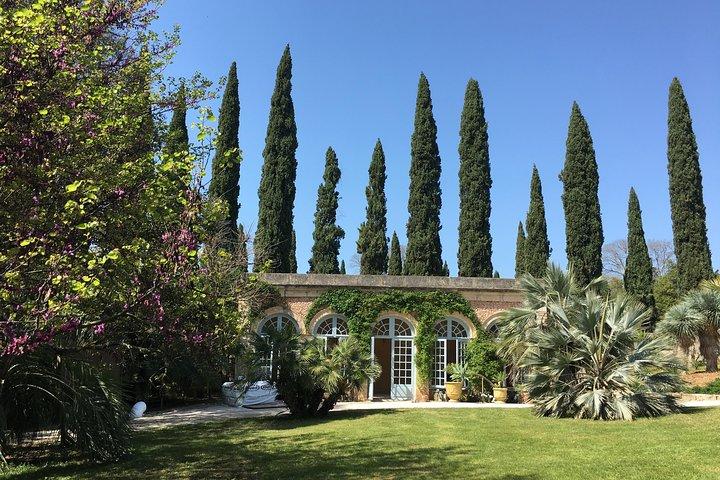 Excursion d'une demi-journée en petit groupe à la découverte des vins dans les châteaux de Montpellier
