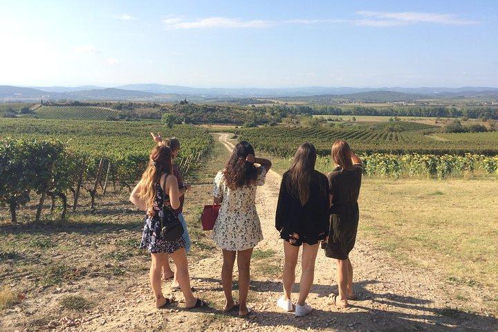 Cité DE Carcassonne et dégustation de vins Excursion privée d'une journée au départ de Toulouse