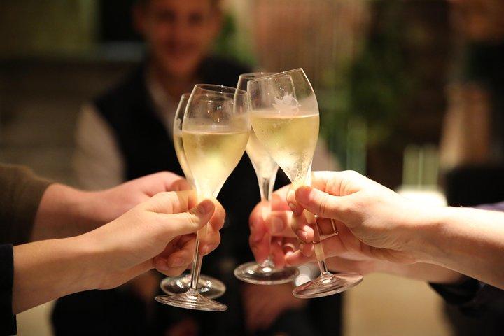 Visite de Champagne en demi-journée en petit groupe - Visite de 2 petits producteurs / producteurs