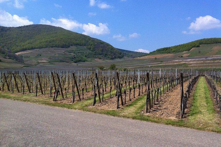 Excursion privée : le meilleur de l'Alsace en une journée !