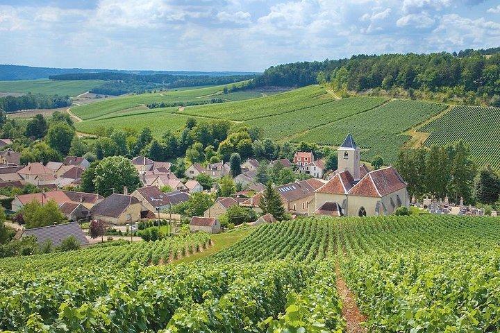 Private Champagne tour from Paris