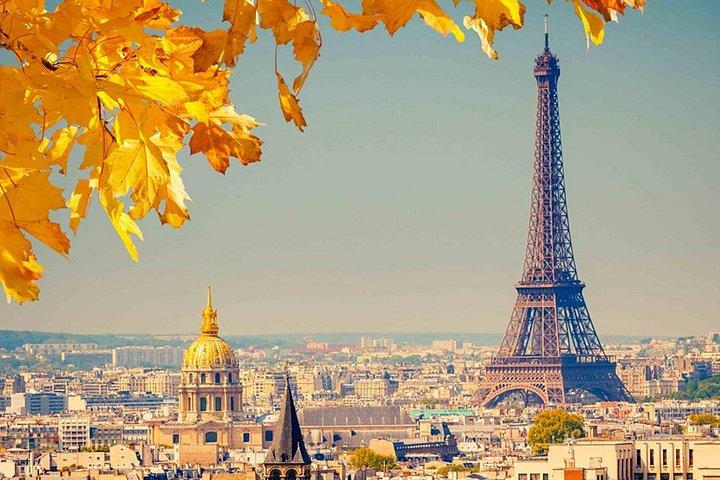 Paris seul (4-8h) avec chauffeur anglophone en MiniVan