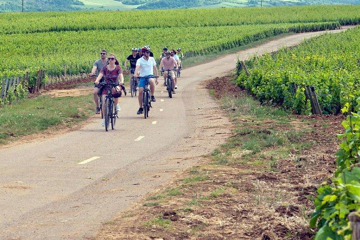 1 journée de vélo électrique et de découverte des vins de la Côte de Nuits au départ de Dijon
