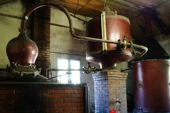 Visite privée de Cognac - Cognac Distillery & Bordeaux Winery avec un atelier