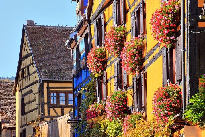 Excursion d'une journée en petit groupe des joyaux d'Alsace au départ de Colmar