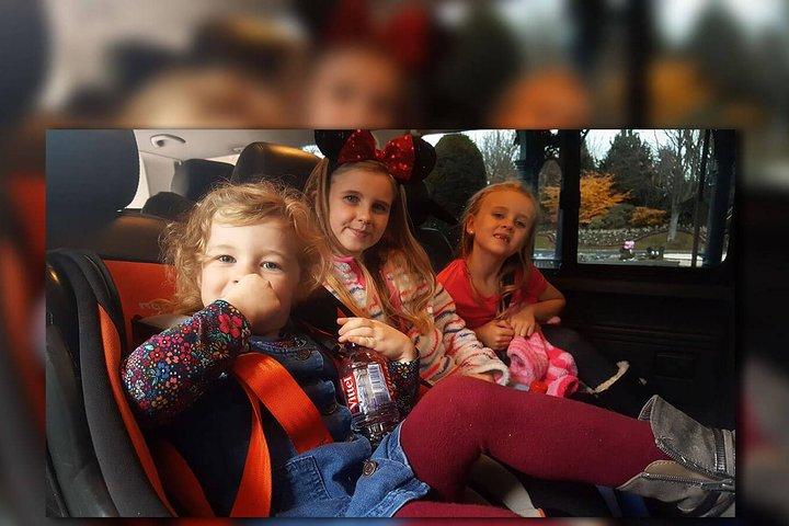 PARIS - Transfert par navette privée Euro Disney (One Way)