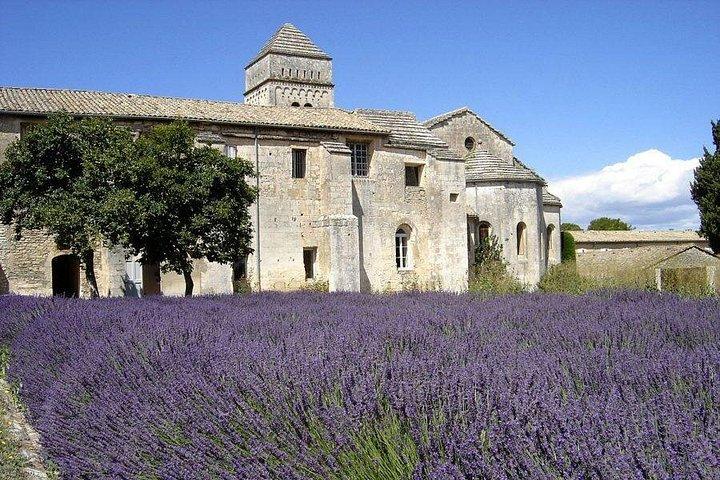 Saint Rémy de Provence & Les Baux de Provence Minivan Tour