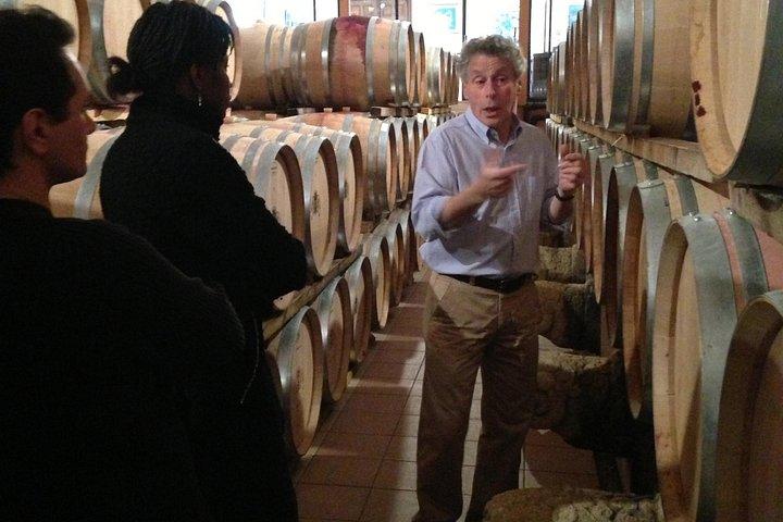 Visite en petit groupe, vins et olives du Languedoc au départ de Montpellier