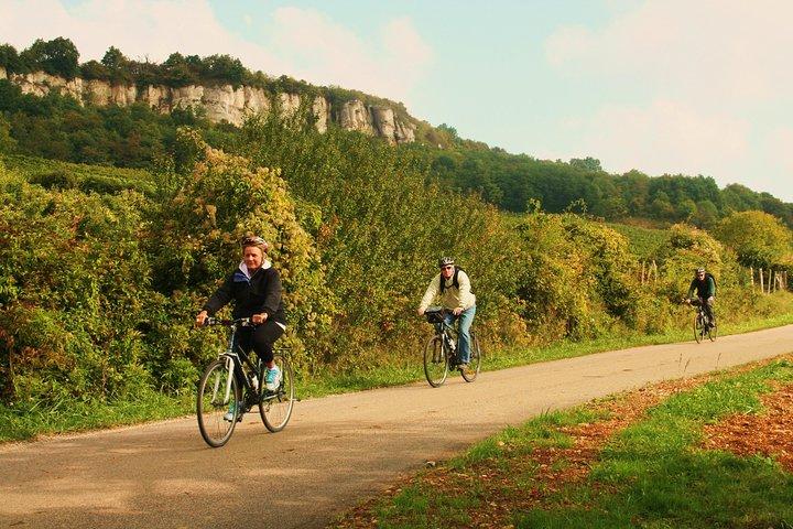 Excursion à vélo en Bourgogne avec dégustation de vins au départ de Beaune