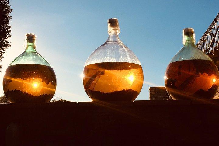 Cassis, Bandol et Le Castellet Visite des vins