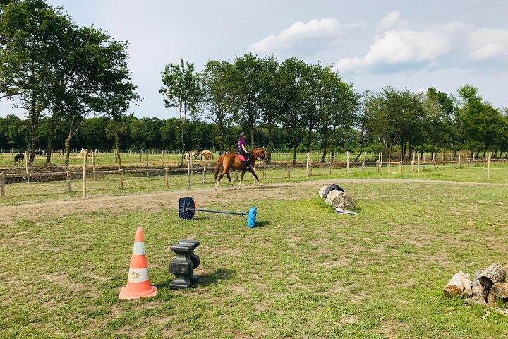 Stage d’équitation tous niveaux 1/2 journée ( 3 h00)