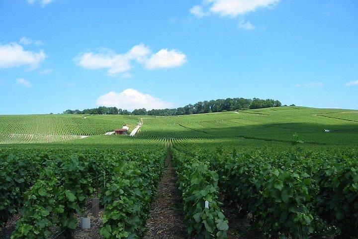 Visite privée du champagne et de Reims au départ de Paris avec prise en charge à l'hôtel