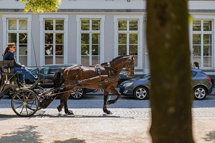Bruges: romance, peintures et chocolat (excursion privée de Paris)