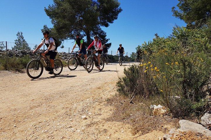 Excursion privée à vélo aux Calanques ou en ville