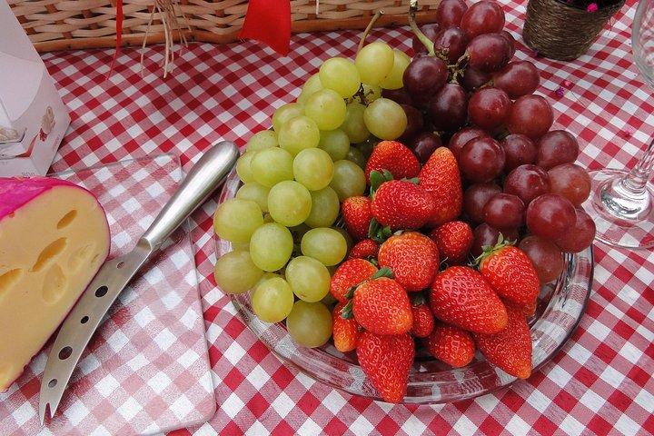Excursion gastronomique en Provence!