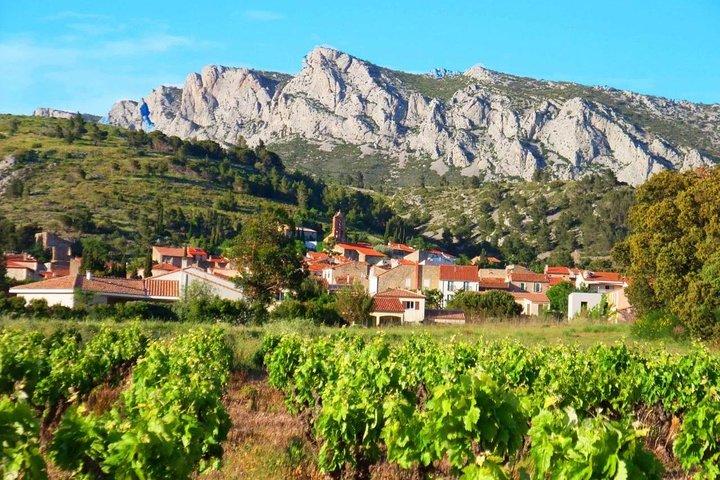 atelier dégustation de 6 à 8 vins avec fromage charcuterie chocolat