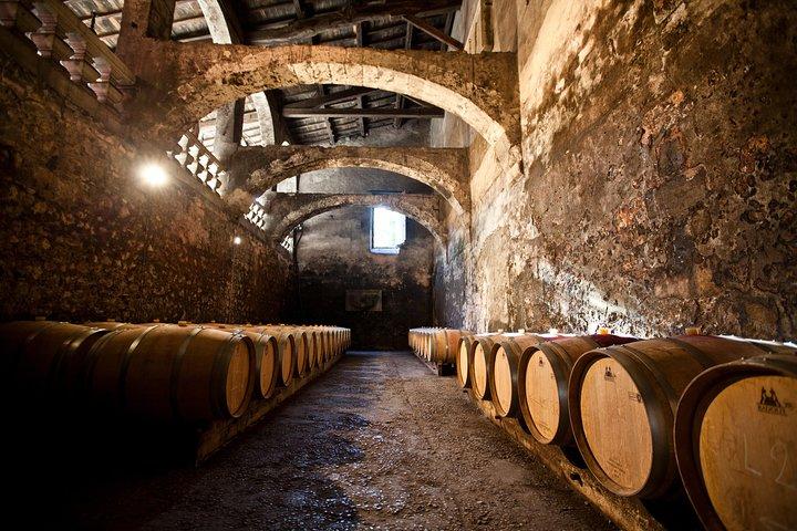 Visite du château du Taillan et de son parc, avec dégustation de vins