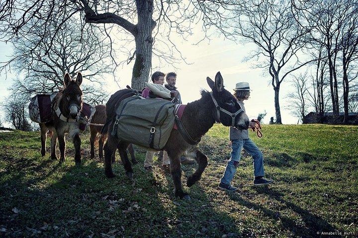 Balades et randos avec ânes