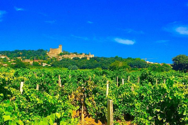 Excursion d'une demi-journée en petit groupe au vin de Provence Cru au départ d'Avignon