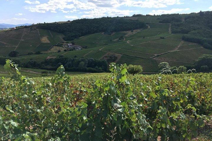 Visite des crus du Beaujolais au départ de Lyon Journée complète