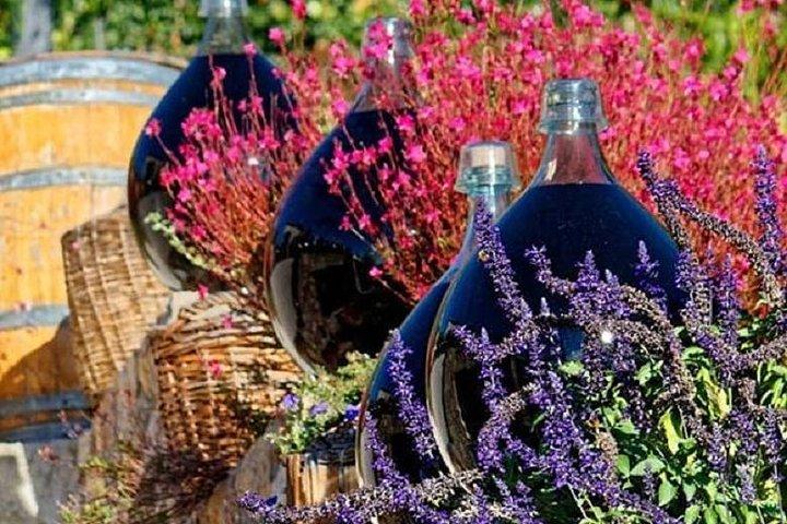 Dégustation de vin d'une demi-journée et visite de Saint Paul de Vence au départ de Nice