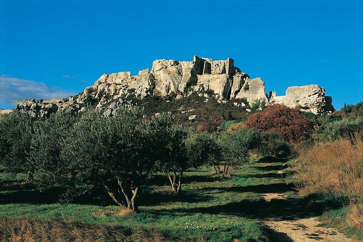 Journée complète Visite du meilleur de la Provence au départ d'Avignon