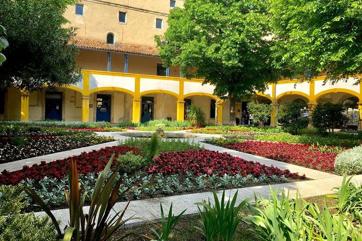 Excursion d'une demi-journée sur les traces de Van Gogh en Provence au départ d'Avignon