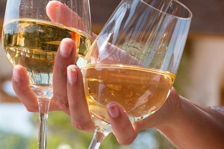 Alsace : Visite Chai Paille Unique/Dégustation Vins Biodynamiques