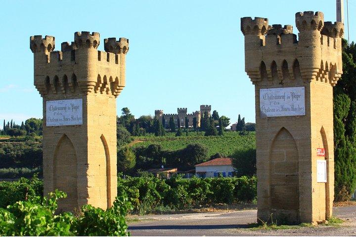 Visite de la journée des vins de Châteauneuf du Pape avec déjeuner au départ d'Avignon