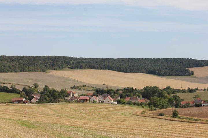 Excursion privée d’une demi-journée au Champagne – 2 visites familiales de vignobles