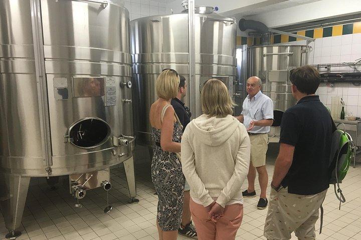 Visite privée du vignoble de Champagne Grand & Premier Cru Pinot Noir