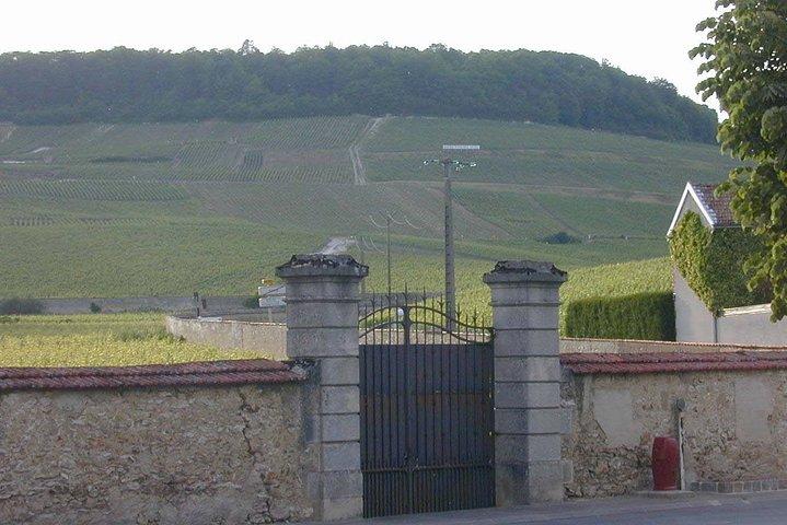 Visite privée du vignoble de Champagne Grand & Premier Cru Chardonnay
