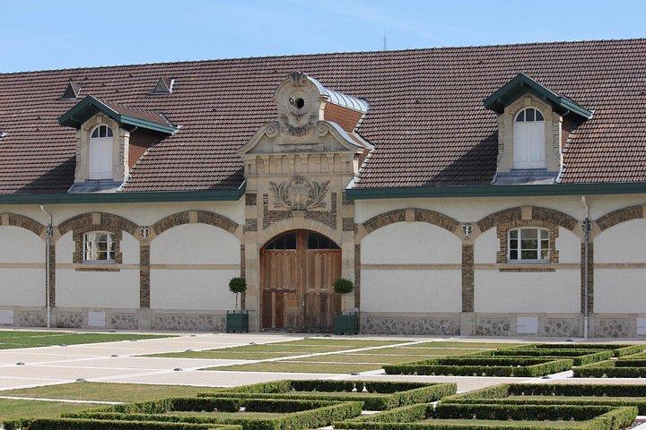 Visite du vignoble Champagne Ruinart & Grand Cru Blanc de Blancs